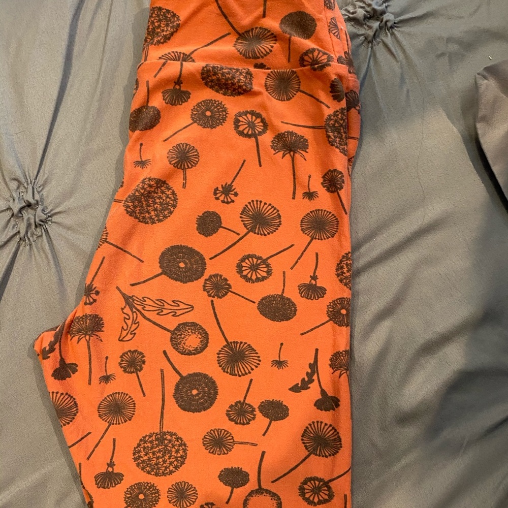 Lularoe tween leggings